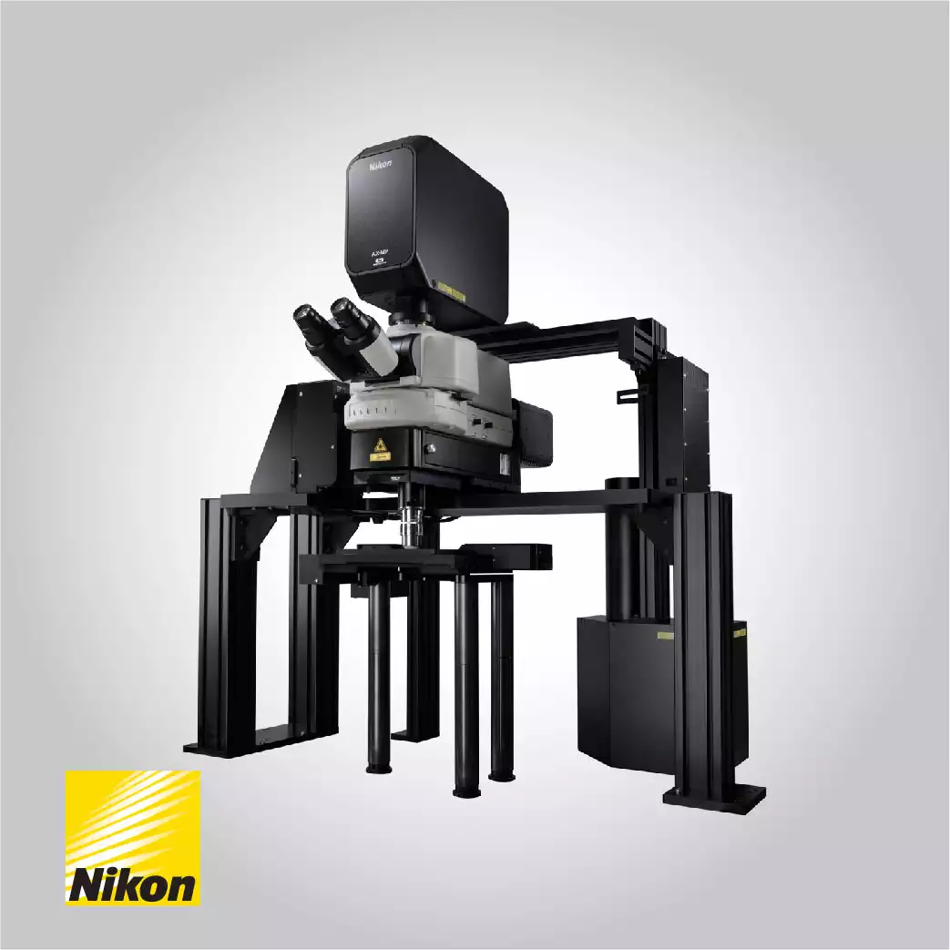 Nikon AX R MP Multiphoton Microscope System